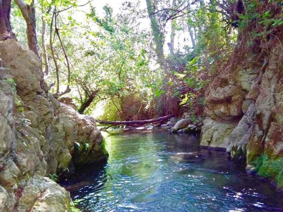 Apartamentos Candil El Bosque Bagian luar foto